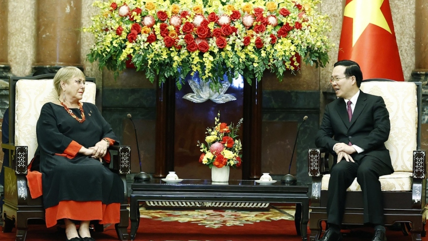 Vietnamese President hosts former Chilean President
